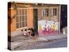 Wonderful Graffiti, Valparaiso, Chile-Peter Groenendijk-Stretched Canvas