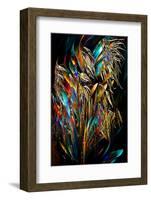 Wonderful Grasses-Ursula Abresch-Framed Photographic Print