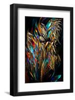 Wonderful Grasses-Ursula Abresch-Framed Photographic Print