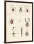 Wonderful Insects-null-Framed Premium Giclee Print