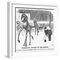Wonderful Instinct of the Giraffe, 1865-George Du Maurier-Framed Premium Giclee Print