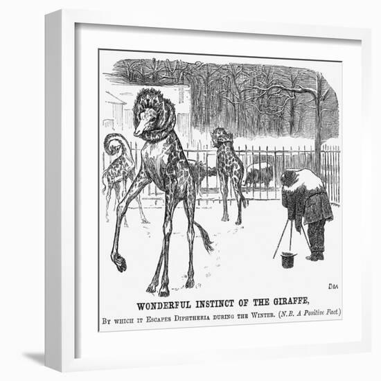 Wonderful Instinct of the Giraffe, 1865-George Du Maurier-Framed Premium Giclee Print