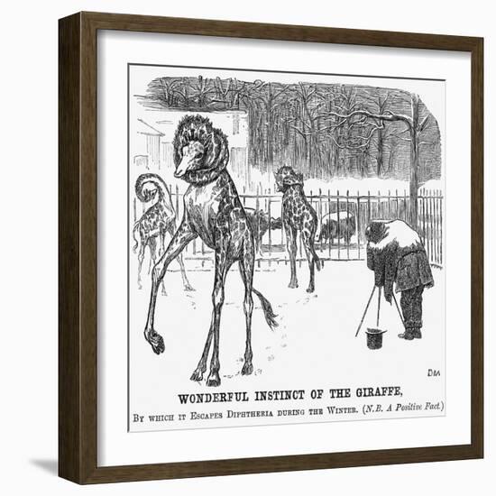 Wonderful Instinct of the Giraffe, 1865-George Du Maurier-Framed Giclee Print