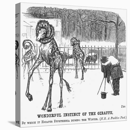 Wonderful Instinct of the Giraffe, 1865-George Du Maurier-Stretched Canvas