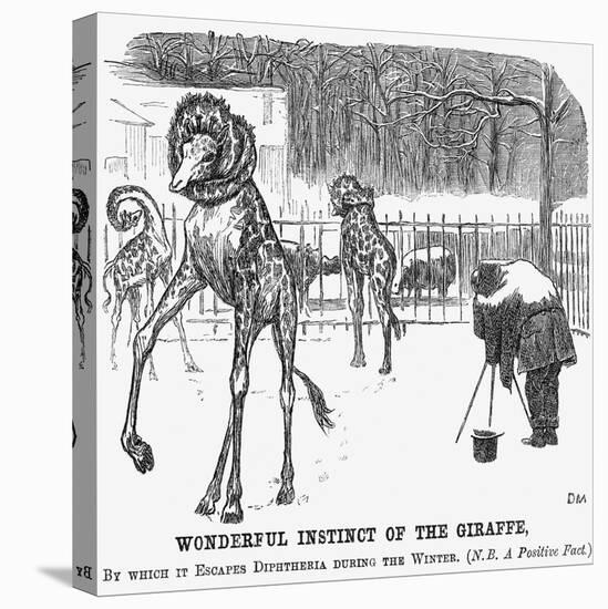 Wonderful Instinct of the Giraffe, 1865-George Du Maurier-Stretched Canvas