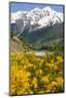 Wonderful Mountain Scenery of Svanetia, Georgia-Michael Runkel-Mounted Photographic Print