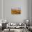 Wonderful nature-Marco Carmassi-Stretched Canvas displayed on a wall