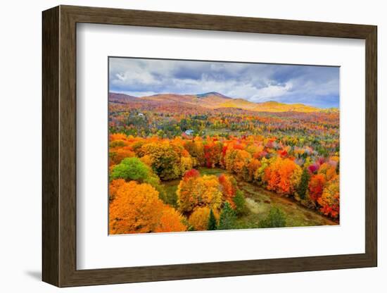 Wonderful nature-Marco Carmassi-Framed Photographic Print