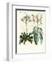 Wonderful Plants-null-Framed Giclee Print