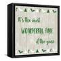 Wonderful Time-Adebowale-Framed Stretched Canvas