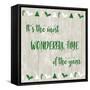 Wonderful Time-Adebowale-Framed Stretched Canvas