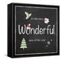 Wonderful Time-Lauren Gibbons-Framed Stretched Canvas