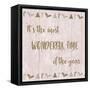 Wonderful Time-null-Framed Stretched Canvas