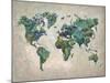 Wonderful World Map-James Zheng-Mounted Art Print