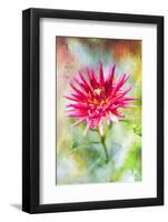 Wonderful World-Viviane Fedieu Daniel-Framed Photographic Print