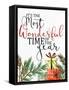 Wonderful Year-Kim Allen-Framed Stretched Canvas