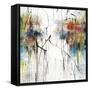 Wondering Light-Joshua Schicker-Framed Stretched Canvas