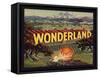 Wonderland Brand - Escondido, California - Citrus Crate Label-Lantern Press-Framed Stretched Canvas