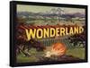 Wonderland Brand - Escondido, California - Citrus Crate Label-Lantern Press-Framed Stretched Canvas