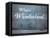 Wonderland-Sheldon Lewis-Framed Stretched Canvas