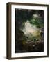 Wonderland-August Strindberg-Framed Giclee Print