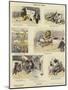 Wonders of Animal Training-null-Mounted Giclee Print