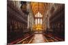 Wonders of the World - Ely Cathedral-Trends International-Mounted Poster