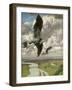 Wondrous Birds, 1892-Hans Thoma-Framed Giclee Print