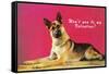 Wont You be My Valentine? Quizzical German Shepherd-null-Framed Stretched Canvas