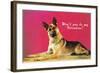 Wont You be My Valentine? Quizzical German Shepherd-null-Framed Art Print