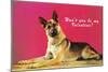 Wont You be My Valentine? Quizzical German Shepherd-null-Mounted Art Print