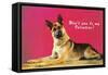 Wont You be My Valentine? Quizzical German Shepherd-null-Framed Stretched Canvas