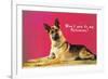 Wont You be My Valentine? Quizzical German Shepherd-null-Framed Premium Giclee Print