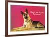 Wont You be My Valentine? Quizzical German Shepherd-null-Framed Premium Giclee Print