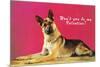 Wont You be My Valentine? Quizzical German Shepherd-null-Mounted Premium Giclee Print