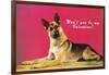 Wont You be My Valentine? Quizzical German Shepherd-null-Framed Art Print