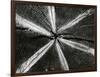 Wood, 1972-Brett Weston-Framed Photographic Print