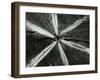 Wood, 1972-Brett Weston-Framed Photographic Print