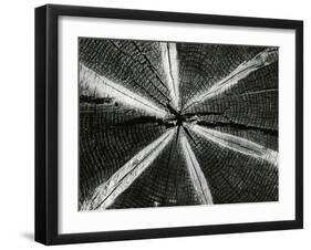 Wood, 1972-Brett Weston-Framed Photographic Print