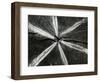 Wood, 1972-Brett Weston-Framed Photographic Print