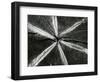 Wood, 1972-Brett Weston-Framed Photographic Print