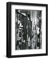 Wood and Cracked Paint, c. 1975-Brett Weston-Framed Premium Photographic Print