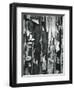 Wood and Cracked Paint, c. 1975-Brett Weston-Framed Premium Photographic Print