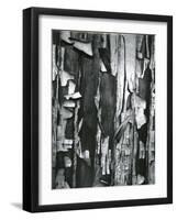 Wood and Cracked Paint, c. 1975-Brett Weston-Framed Photographic Print