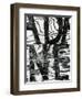 Wood and Paint, Sign, 1977-Brett Weston-Framed Photographic Print