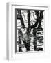 Wood and Paint, Sign, 1977-Brett Weston-Framed Photographic Print