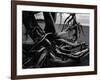 Wood and Sand, Alaska, c. 1970-Brett Weston-Framed Photographic Print