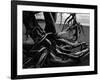 Wood and Sand, Alaska, c. 1970-Brett Weston-Framed Photographic Print