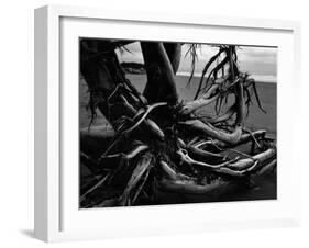 Wood and Sand, Alaska, c. 1970-Brett Weston-Framed Premium Photographic Print