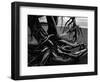 Wood and Sand, Alaska, c. 1970-Brett Weston-Framed Photographic Print